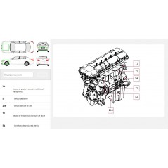 Catalog reparatii Haynes PRO 2024 Descarcabil