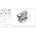 HaynesPro WorkshopData – catalog reparatii auto online, abonament 12 luni