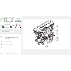HaynesPro WorkshopData – catalog reparatii auto online, abonament 12 luni