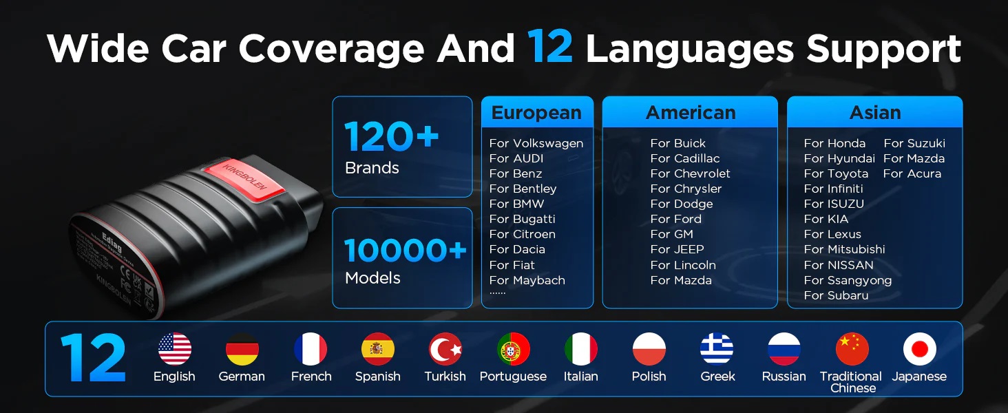 Diagnoza Auto Kingbolen