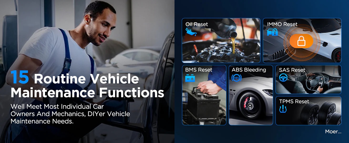 Diagnoza King Functii Resetare